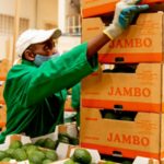 Kenya-China Zero Tariff Deal Sparks New Export Opportunities for Local Businesses