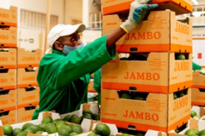 Kenya-China Zero Tariff Deal Sparks New Export Opportunities for Local Businesses