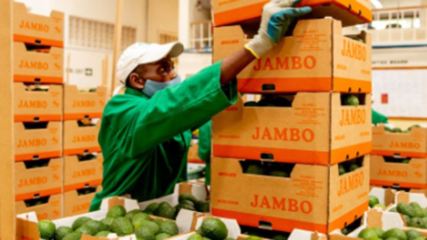 Kenya-China Zero Tariff Deal Sparks New Export Opportunities for Local Businesses